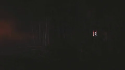 Forest fire firetruck lights Stock Footage 77525494