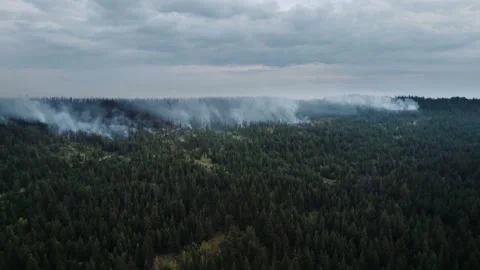 Forest Fire. Flames And Smoke Clouds. Aerial Drone view Vídeo Stock 347653088