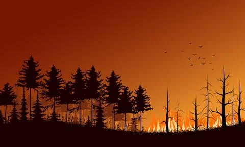 Forest fire. Flat vector illustration. Burning forest spruces in fire flames 스톡 일러스트