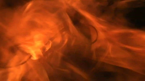 Forest fire Stock Footage 548615