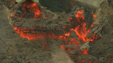 Forest Fire Stock Footage 711223