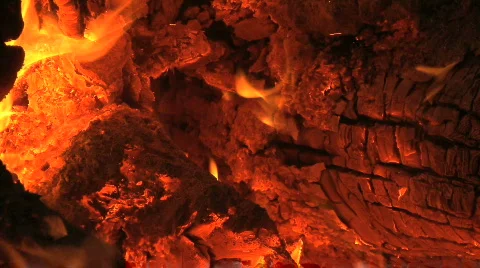 Forest Fire Stock-Footage 711456