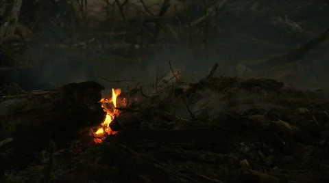 Forest Fire Stock Footage 711469