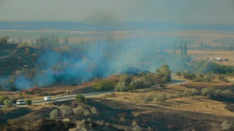 Forest Fire Stock-Footage 22281145