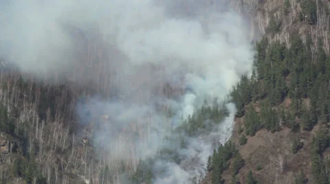 Forest fire Stock Footage 37129264