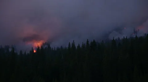Forest fire Stock Footage 41832285