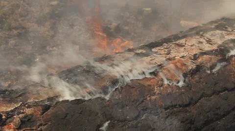 Forest fire Stock Footage 44673821