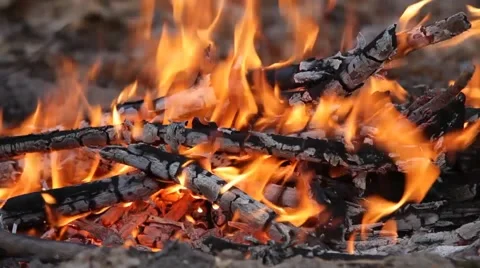 Forest fire Stock Footage 50116956