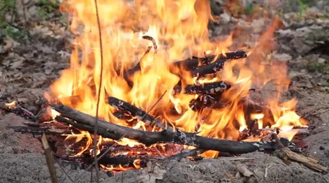 Forest fire Stock Footage 50117049