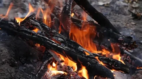 Forest fire Stock Footage 50117117