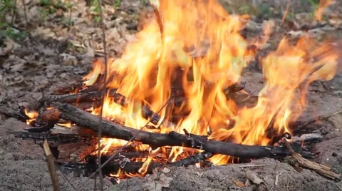 Forest fire Stock Footage 50117208