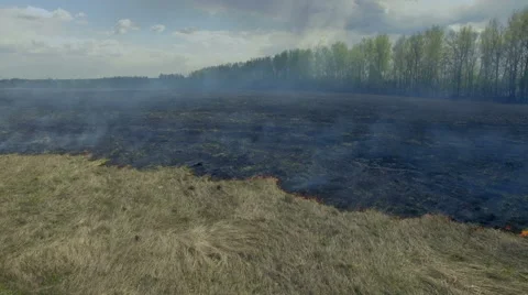 Forest fire Video stock 63052811