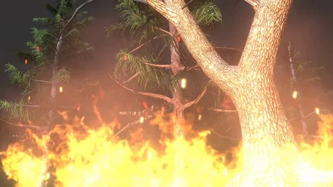 FOREST IN FIRE Stock Footage 83923734
