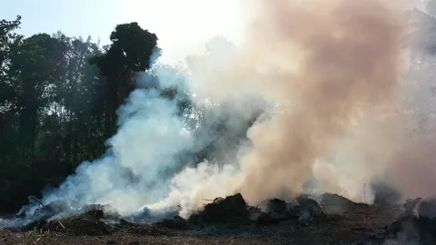 Forest fire Stock Footage 131895396