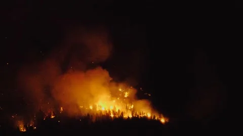 Forest Fire Stock Footage 138894550