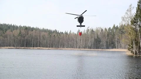 Forest fire Stock Footage 164397783