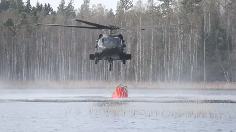 Forest fire Stock Footage 164397839