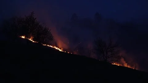 Forest fire Video stock 273212984