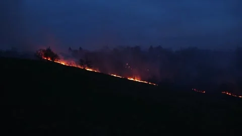 Forest fire Stock-Footage 273213053