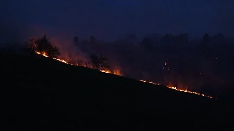 Forest fire Stock-Footage 273213055