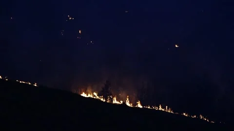 Forest fire Stock-Footage 273213138