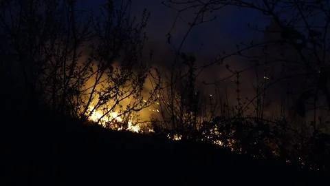 Forest fire Stock-Footage 273471109