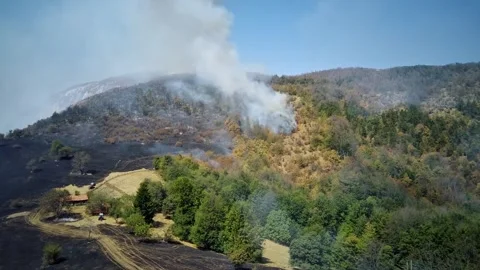 Forest fire Stock Footage 302584344