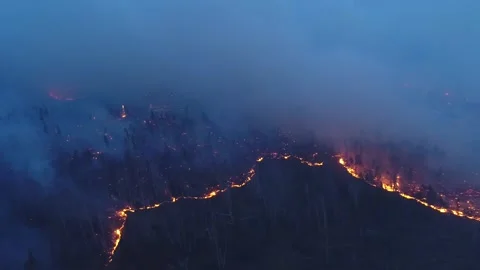 Forest fire. The forest is on fire. Irkutsk region. Stock Footage 165020532