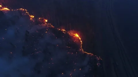 Forest fire. The forest is on fire. Irkutsk region. Vídeos de archivo 165020553