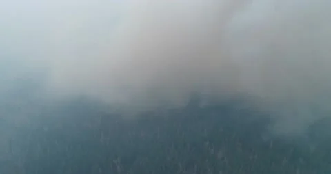 Forest fire. The forest is on fire. Irkutsk region. Stock Footage 165020619