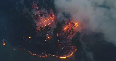 Forest fire. The forest is on fire. Irkutsk region. Stock Footage 165020642