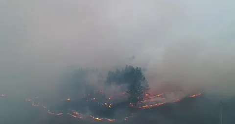 Forest fire. The forest is on fire. Irkutsk region. Stock Footage 165020643
