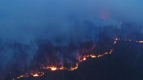 Forest fire. The forest is on fire. Irkutsk region. Stock Footage 165020655