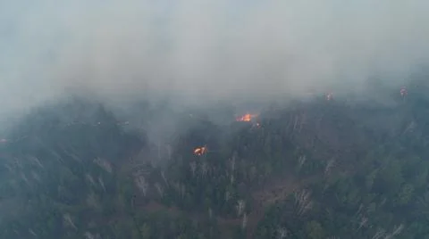Forest fire. The forest is on fire. Irkutsk region. Stock Photos
