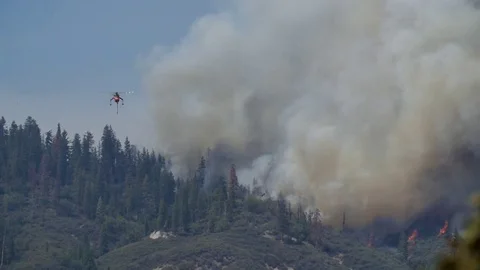 Forest Fire Helicopter Air Crane Retardant Drop Slow Motion Stockbeeldmateriaal 74277976
