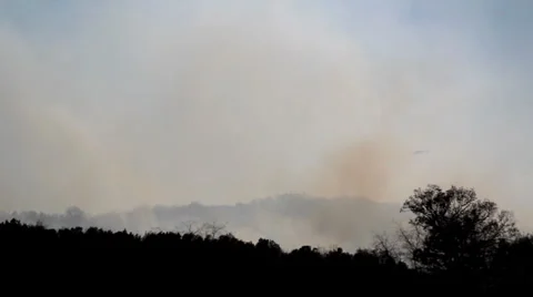 Forest Fire Helicopter Stock-Footage 5163383