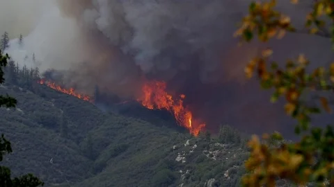 Forest Fire Huge Flames Black Smoke Stock Footage 74275674