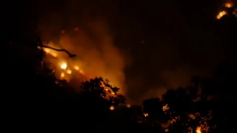 Forest Fire Huge Flames Night Stock Footage