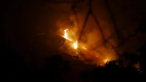 Forest Fire Huge Flames Night Stockbeeldmateriaal 74277003