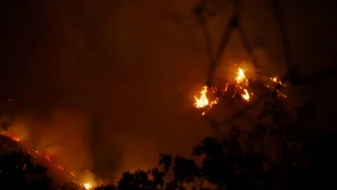 Forest Fire Huge Flames Night Stock Footage 74277429
