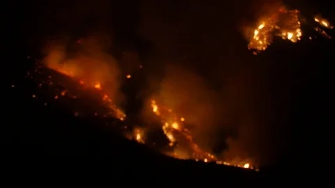 Forest Fire Huge Flames Night Stock Footage 74277445