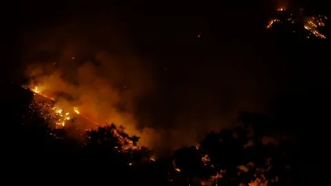 Forest Fire Huge Flames Night Stock Footage