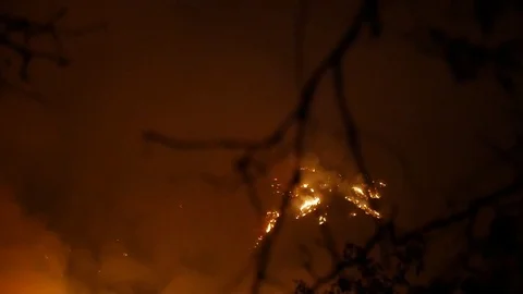 Forest Fire Huge Flames Night Stock Footage 74277518