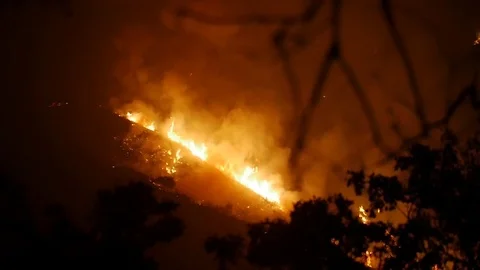 Forest Fire Huge Flames Night Stock Footage 74277786