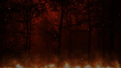 Forest fire illustration with green screen background Stock Footage 277199684