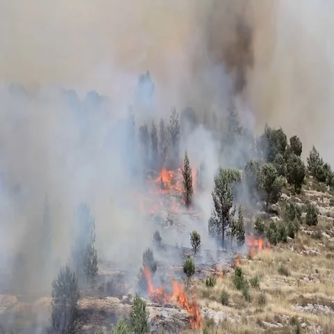 Forest Fire in Jeruslaem Israel Stock Footage 69543372