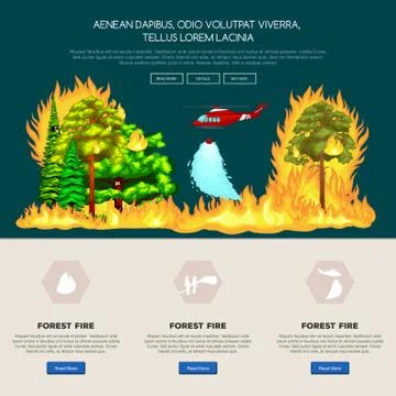 Forest Fire,  in  landscape damage, nature ecology disaster, hot burning tre Illustrazione stock