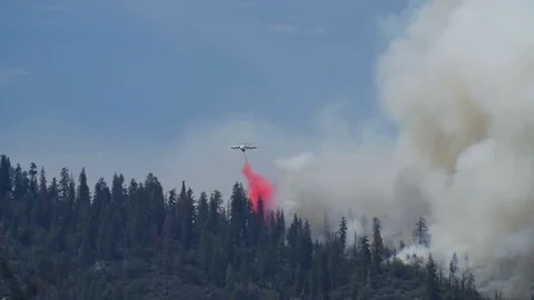 Forest Fire Large Air Tanker Retardant Drop Slow Motion Stock Footage 74278147