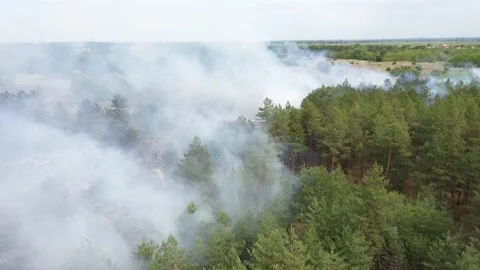 Forest fire. Large smoke clouds and fire spread. Amazon and siberian wildfires.  스톡 동영상 130439037