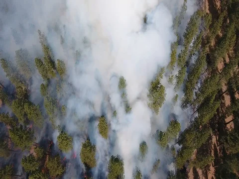 Forest Fire Looking Down From Above. Stock-Footage 80972589